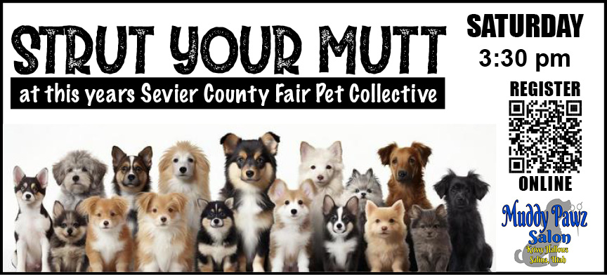 11 Strut Your Mutt