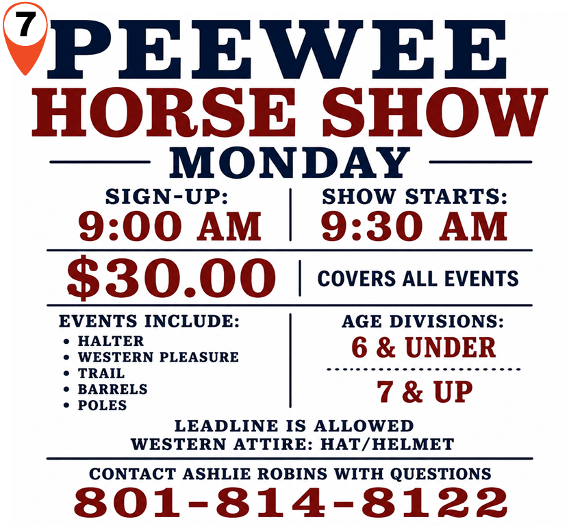 PeeWee Horse
